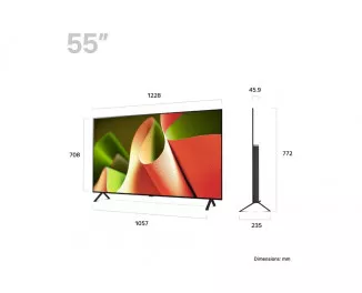 Телевизор LG OLED55B46LA