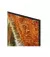 Телевізор Samsung QE55QN70FAUXUA