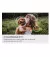 Телевизор Samsung QE55S90F SmartTV UA