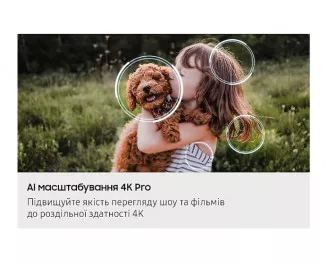 Телевізор Samsung QE75QN90FAUXUA