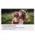 Телевизор Samsung QE85QN90F SmartTV UA