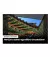 Телевизор Samsung UE43DU8572 SmartTV UA
