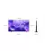 Телевизор Samsung UE75U8092F SmartTV UA
