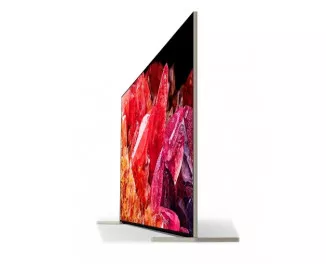 Телевизор Sony XR-65X95K Europe