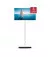 Телевізор Thomson Go TV 32HA4M44