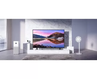 Телевізор Xiaomi Mi TV P1E 55