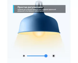 Розумна світлодіодна лампа TP-Link Tapo L510E N300 (TAPO-L510E)