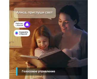 Розумна світлодіодна лампа TP-Link Tapo L510E N300 (TAPO-L510E)