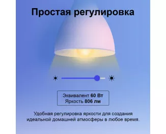Умная светодиодная лампа TP-Link Tapo L530E N300 (TAPO-L530E)