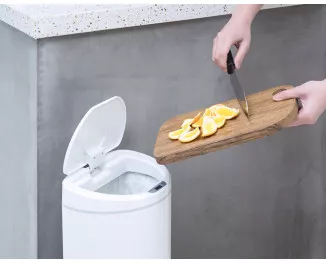 Умное мусорное ведро Xiaomi Ninestars Sensor Trash Can 10L (DZT-10-29S) White