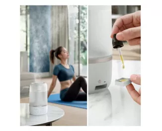 Увлажнитель воздуха PHILIPS Series 1000 HU1510/04
