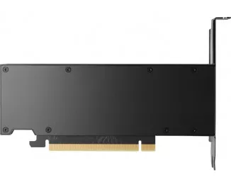 Відеокарта HP Quadro RTX A2000 Ada 16GB GDDR6 (8D6B8AA)