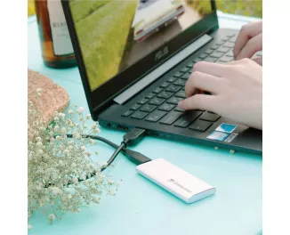 Внешний SSD накопитель 250Gb Transcend ESD260C (TS250GESD260C)