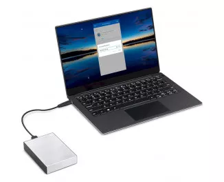 Внешний жесткий диск 5 TB Seagate One Touch with Password Silver (STKZ5000401)