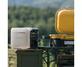 Зарядная станция EcoFlow DELTA 3 1024Wh | 1800W (EFDELTA3-EU) (EU)