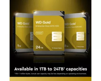 Жесткий диск 6 TB WD Gold (WD6004FRYZ)