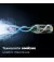Зубная электрощетка PHILIPS Sonicare 6100 Series HX7406/01